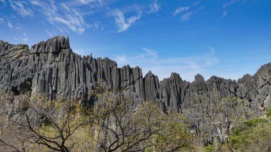 Chillagoe, doğal harikalar ve kireçtaşı mağaralarının eşsiz karışımıyla popüler bir turizm merkezidir.