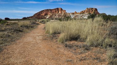 Gökkuşağı Vadisi 'nin kumtaşı kayalıklarından ve kayalıklardan oluşan renkli kayaları. Avustralya 'nın Kuzey Bölgesi Alice Springs' in güneyinde bulunan James Sıradağları 'nın bir parçasıdır..
