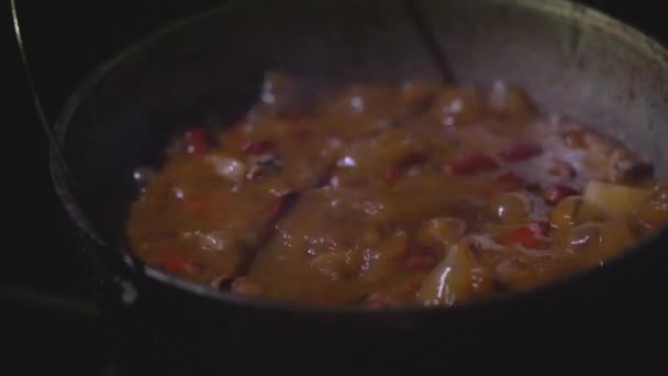 Boiling Soup Cauldron Cooking Open Fire Late Night — Vídeo de Stock