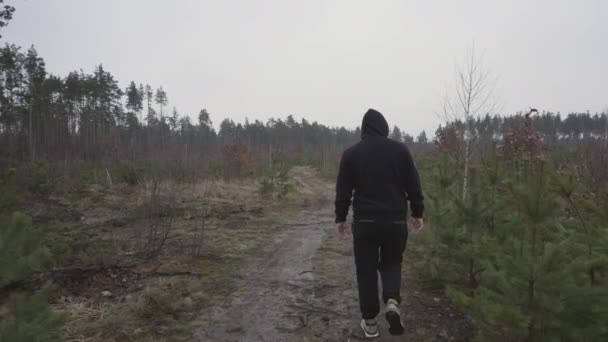 Man Tracksuit Walks Dirt Road Young Forest — Stockvideo