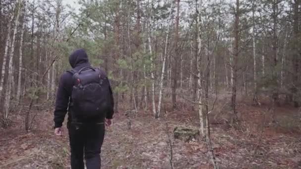 Rear View Man Backpack Sportswear Walking Young Forest — Vídeo de Stock