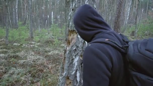 Guy Backpack Walking Forest Examines Holes Tree Hollowed Out Woodpecker — Stockvideo