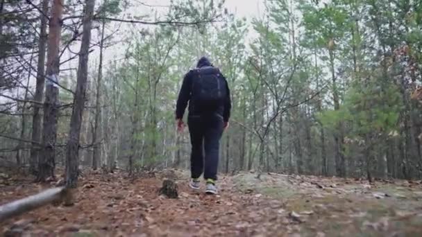 Lower Angle View Guy Walking Woods Backpack Tracksuit — Vídeo de Stock