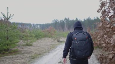 A guy with tourist equipment walks along a dirt road towards a high forest.