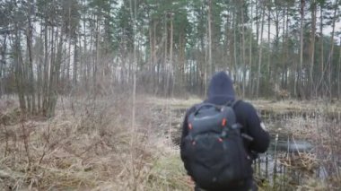 A young man, walking through the forest, went out to the swamp that blocked his passage. Focus on vegetation