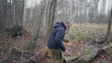 A man, with a knife, removes the bark from a tree that has fallen in a swamp to inspect and study the state of the flora.