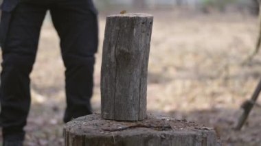 A young man breaks a log into pieces using a cleaver