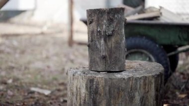 Close-up of a log standing on a deck and falling from a failed attempt to cut it