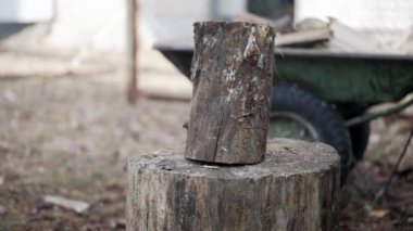 Close-up of a log standing on a deck and cracked from an ax blow