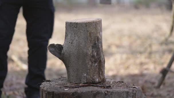 Man Cleaver Trying Break Log Pieces — стоковое видео