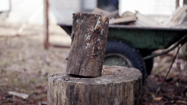 Log Standing Deck Shatters Pieces Blow Cleaver Slow Motion Video — Stock Video