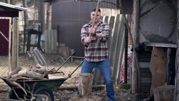 Guy Plaid Shirt Jeans Trying Cut Log Cleaver Backdrop Outbuildings — 图库视频影像