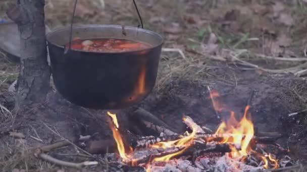 Open Cast Iron Cauldron Cooked Food Set Aside Hearth — Wideo stockowe