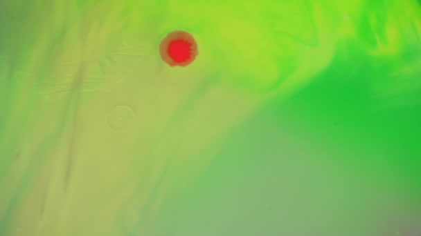 黄緑色の背景に落ちる赤い液体の滴 — ストック動画