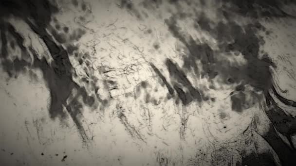 模拟泥土和杂物的运动元件的黑白图像 — 图库视频影像