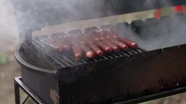 Juicy Bavarian Sausages Cooked Grate Brazier — Stock Video