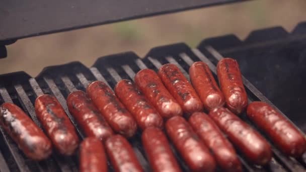Close Fried Sausages Cooked Barbecue Grill — Stock Video