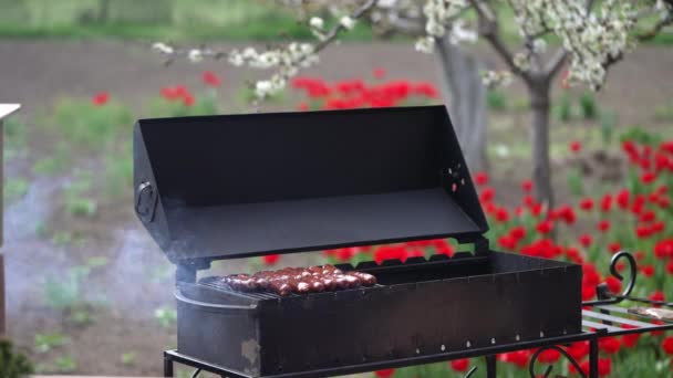 春の庭で 揚げソーセージとグリルの一般的なビュー — ストック動画