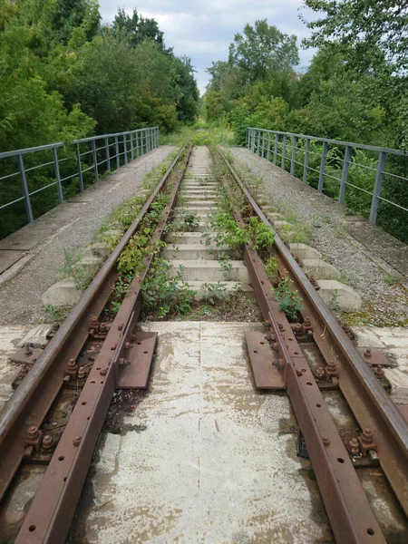 Die Schienen Der Stillgelegten Bahngleise Gehen Die Vegetation — Stockfoto