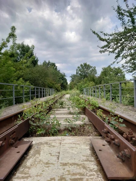 Verlassene Bahngleise Mit Rostigen Schienen Überwachsen Mit Gras Stockfoto