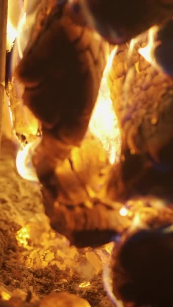 Vídeo Vertical Quema Leña Chispas Del Fuego Una Pequeña Estufa — Vídeo de stock