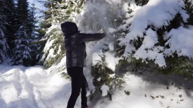 Bir kız kozalaklı bir ormanda ladin dallarından kar sallıyor..