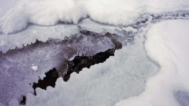 Потік Лісового Потоку Зимовому Лісі Під Снігом Льодом — стокове відео