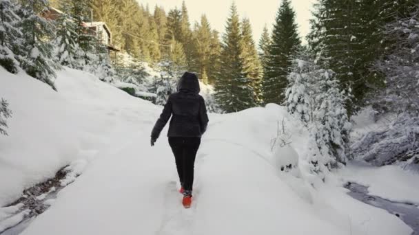 Kobieta Spaceruje Śnieżnej Drodze Pośród Zimowego Lasu Górach — Wideo stockowe