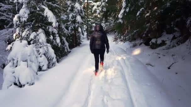 Dívka Kráčí Zasněžené Cestě Mezi Jehličnany Horách — Stock video