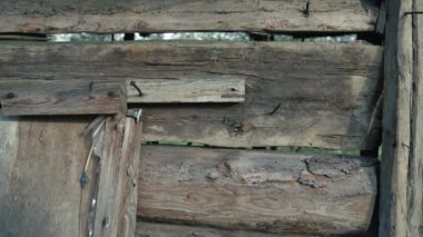 Paslı çiviler saplanmış eski kütüklerin ve tahtaların arka planı.