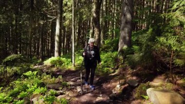 Bulunan dalı kullanan bir turist, dağlara doğru bir orman yolu boyunca yürür..