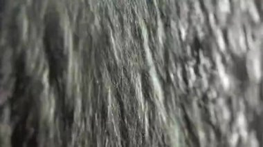 Cam duş kapısının kiri duş başlığından gelen su püskürtüsüyle temizlenir..