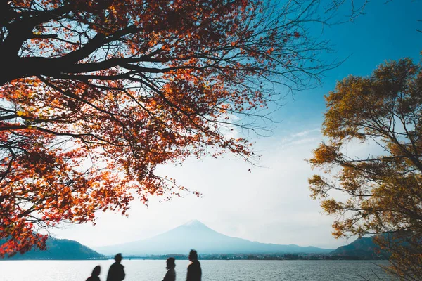 Fuji Japan Höst Stockbild