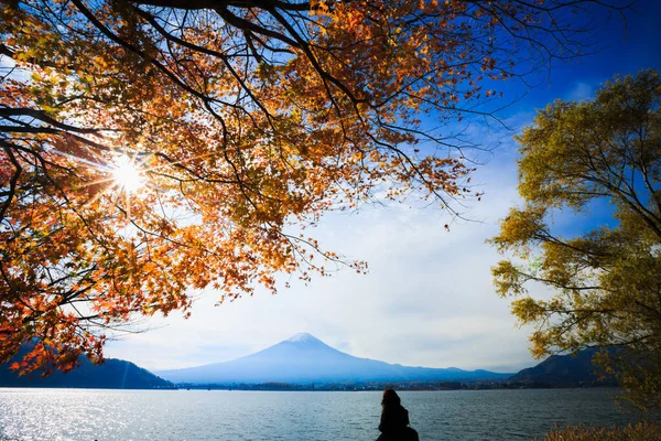 Гора Фудзі Осінь Японія Стокове Зображення
