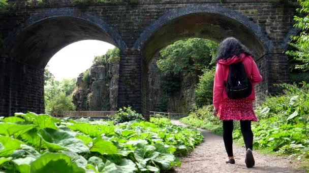 黄石公园女游客 头戴背包 走在巨大的蝴蝶之间的人行道上 黄石公园的叶子在古老的拱桥下 朝向悬崖墙 — 图库视频影像