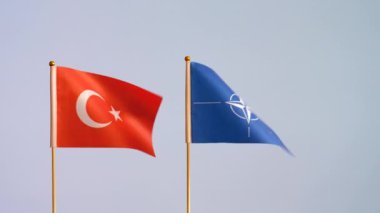 NATO ve Türkiye 'nin bayrakları gri arka planda izole edilmiş; yavaş çekim, kopyalama alanı.