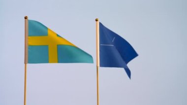 İzole edilmiş NATO ve İsveç ulusal bayrakları o kadar da beyaz olmayan arka planda dalgalanıyor. İsveç, Kuzey Atlantik Antlaşma Örgütü 'ne katılmak istiyor..