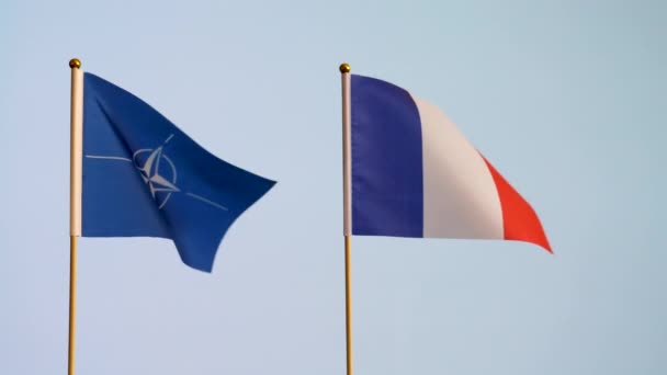 Флаг Нато Франции Развевается Изолированно Белом Сером Фоне Замедленная Съемка — стоковое видео