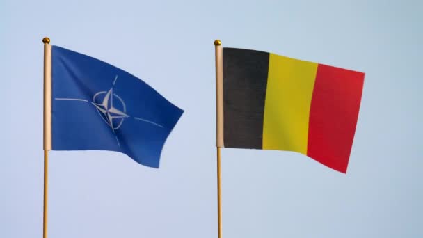 Nato Nemzeti Belgium Zászló Repül Elszigetelt Sima Fehér Szürke Háttér — Stock videók