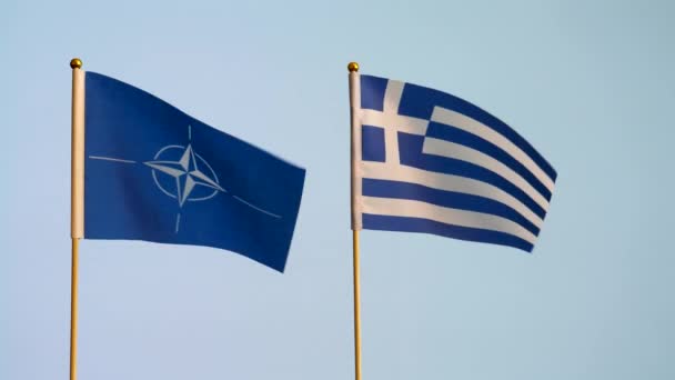 Nato Nemzeti Zászló Görögország Lengő Elszigetelt Egyszerű Fehér Szürke Háttér — Stock videók