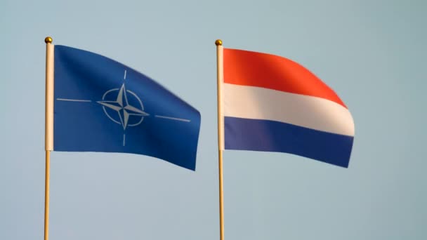 Flagi Holandii Nato Trzepotające Białym Szarym Tle Zwolnione Tempo Przestrzeń — Wideo stockowe
