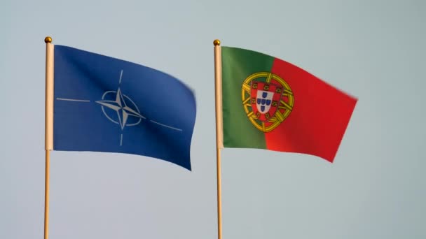 Bandera Nacional Portugal Otan Ondeando Aislada Sobre Fondo Gris Blanco — Vídeo de stock