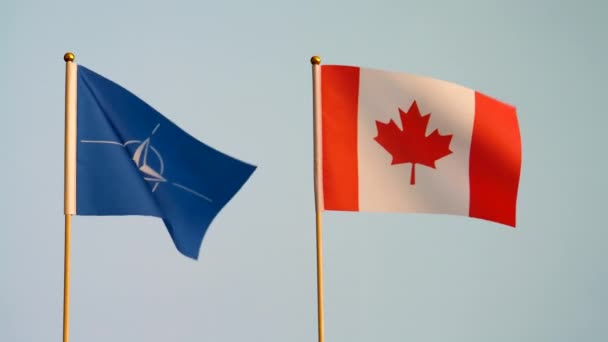 Bandeiras Otan Canadá Acenando Isoladas Contra Fundo Cinza Branco Câmera — Vídeo de Stock