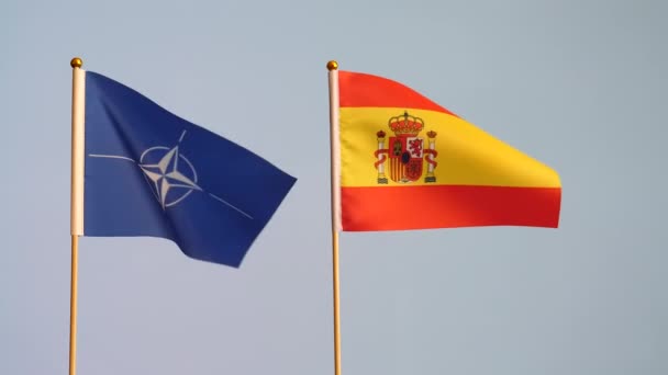 在白色灰色背景下 北约和西班牙摇曳着两面旗帜 慢动作 复制空间 — 图库视频影像