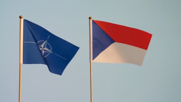 Nato Och Tjeckien Eller Tjeckiska Flaggan Viftar Isolerat Mot Vit — Stockvideo