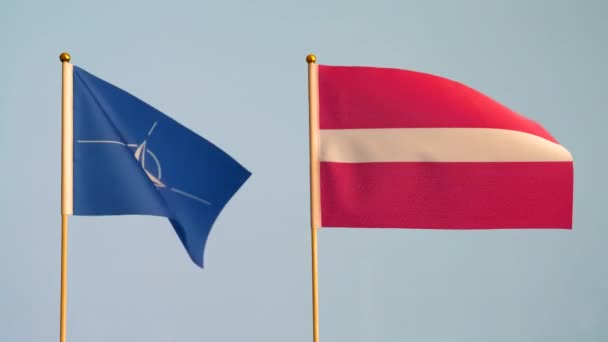 Letland Navo Vlaggen Zwaaien Geïsoleerd Tegen Witte Grijze Achtergrond Slow — Stockvideo