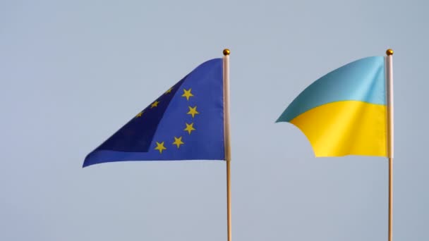 European Union Ukraine Two Flags Waving Grey White Plain Background — Stock Video