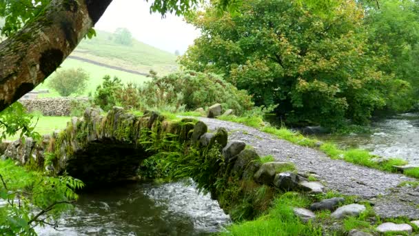 Old Mossy Lovely Little Stone Arch Bridge Mountain Stream Summer — Αρχείο Βίντεο