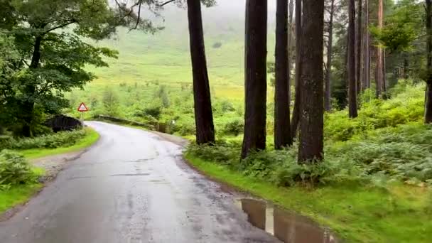 イギリス イギリスレイクディストリクトの悪天候で湖に急いで山の流れの上に森で運転 車の視点 Pov 2カット — ストック動画