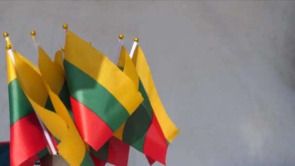 一群小手在白色的商业帐篷墙前挥动立陶宛国旗 — 图库视频影像